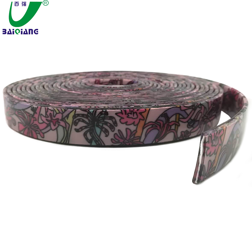 Fashionable Protective Shield TPU Coated Encapsulated Webbing For Pet Chain Leash