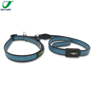 Blue Sex Woman Dog Collar, Multi Functional Adjustable Rubber Handle Plastic Dog Leash with Logo